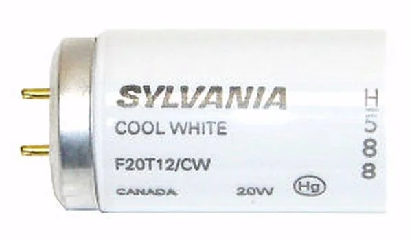 Track lighting for photography studiosSylvania 22078 F20T12/CW 20 Watt T12 Fluorescent Tube Medium Bi-Pin Base 4200K Track lighting for photography studiosSylvania 22078 F20T12/CW 20 Watt T12 Fluorescent Tube Medium Bi-Pin Base 4200K