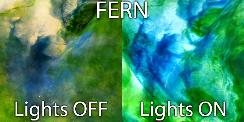 Fern