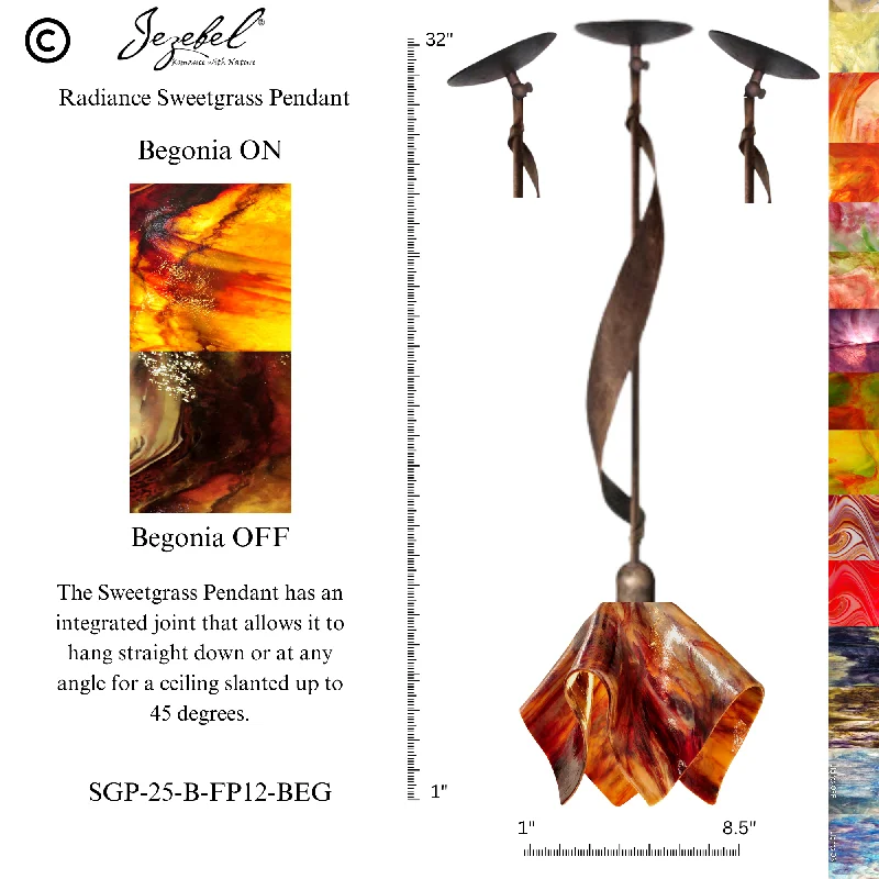 Begonia