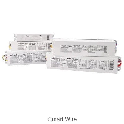 Track lighting for rental propertiesKeystone KTSB-E-1232-24-UV-S-IP T8HO or T12HO 2-4 Lamp Electronic Sign Ballast