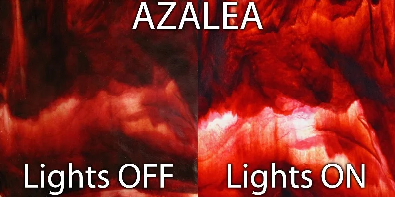 Azalea