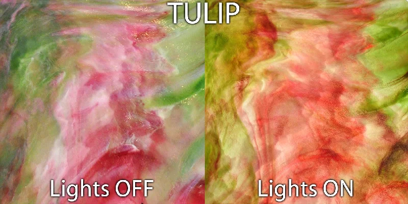 Tulip