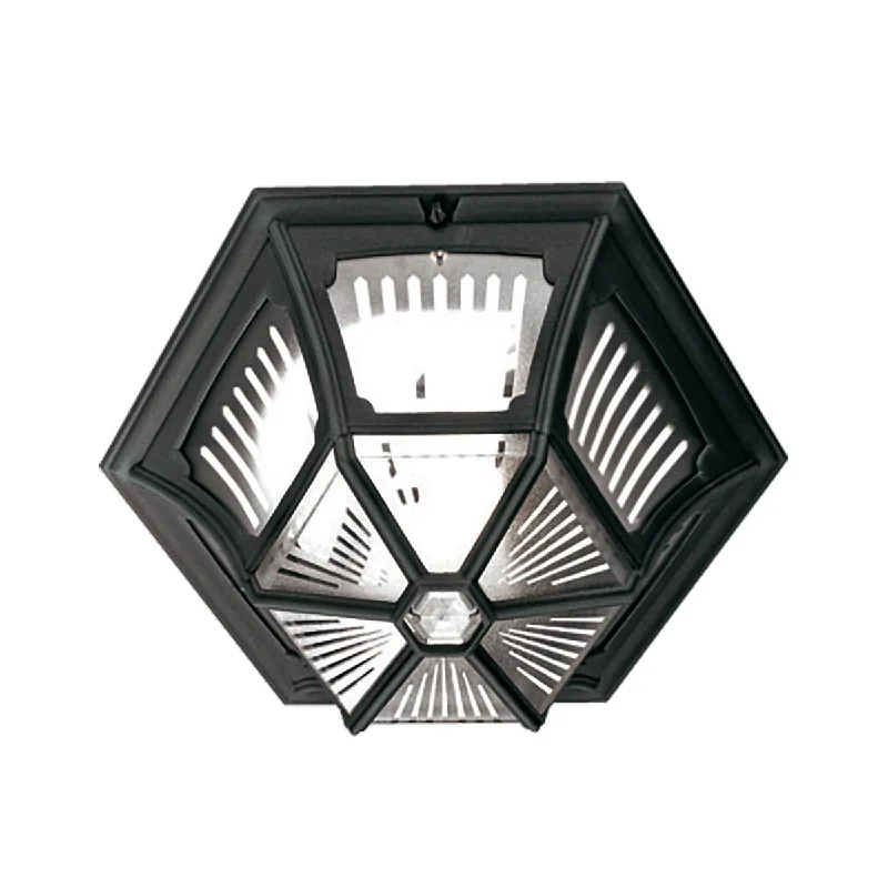 Track lighting for photography studiosParish Ceiling Flush Lantern – Black Finish