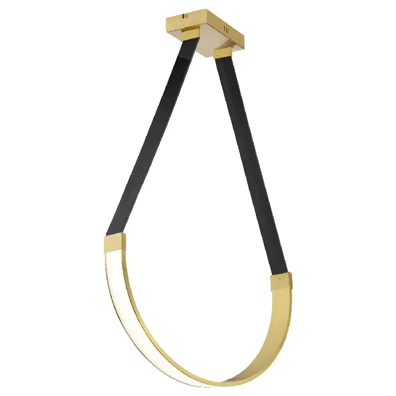 Track lighting for outdoor gardensRegan LED Pendant