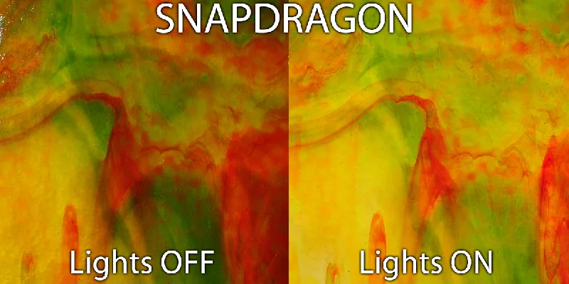 Snapdragon