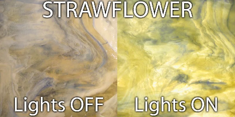 Strawflower