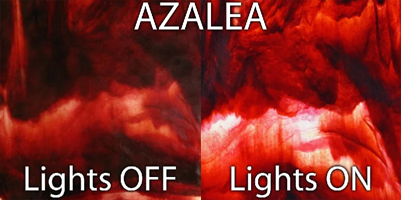 Azalea