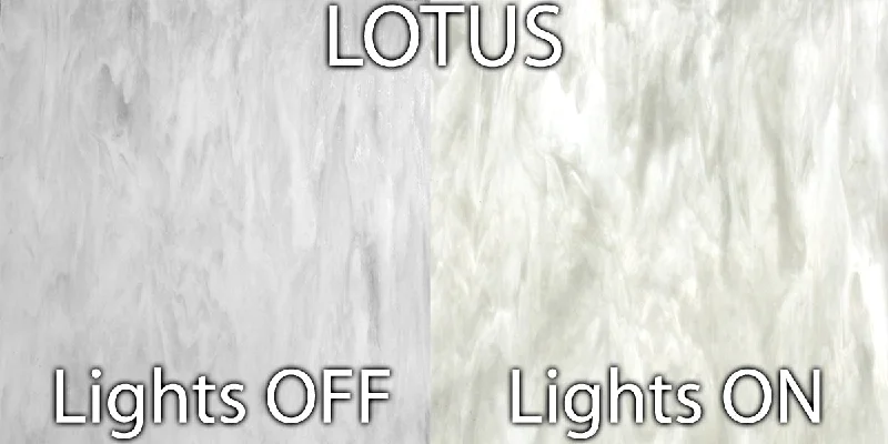 Lotus