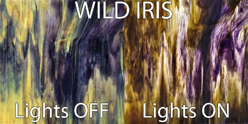 Wild Iris