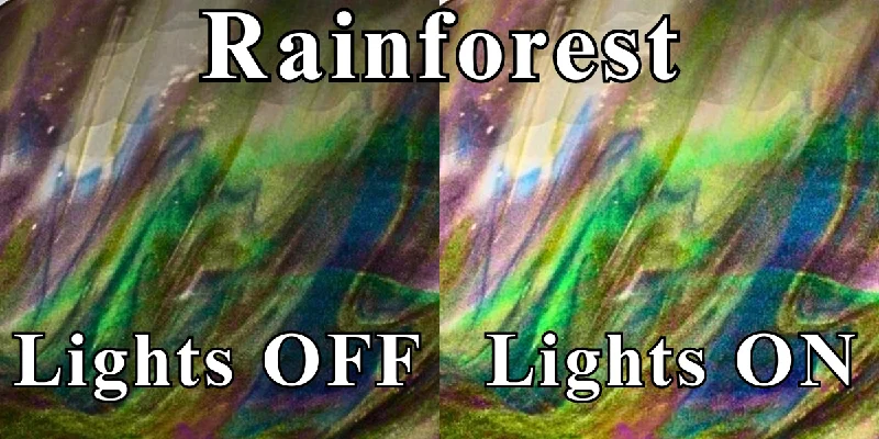 Rainforest