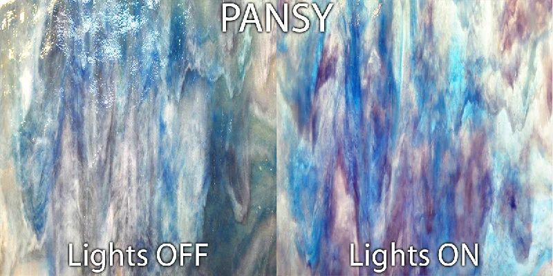 Pansy