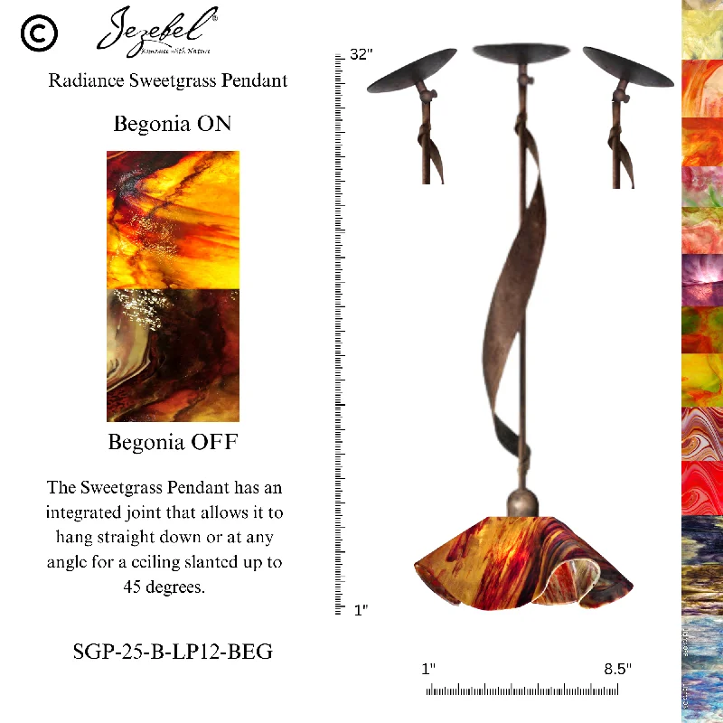 Begonia