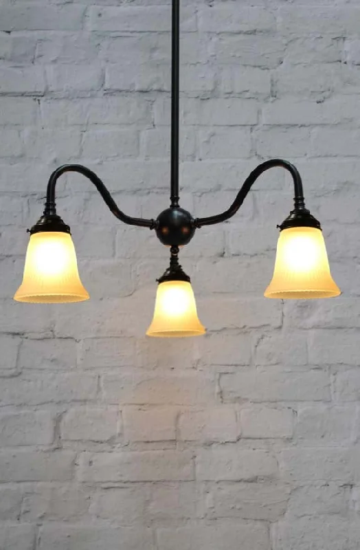 Chandeliers with Metal Frames in Black FinishChandeliers with Metal Frames in Black FinishVictoria Glass Gooseneck Chandelier Chandeliers with Metal Frames in Black FinishChandeliers with Metal Frames in Black FinishVictoria Glass Gooseneck Chandelier